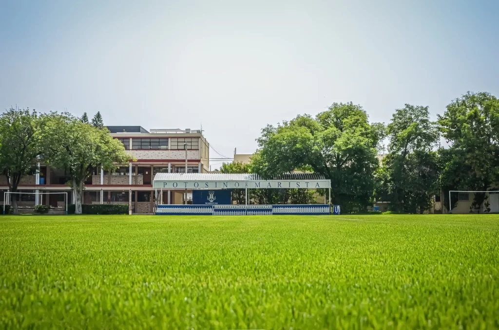 Campo de fútbol de pasto con árboles al fondo