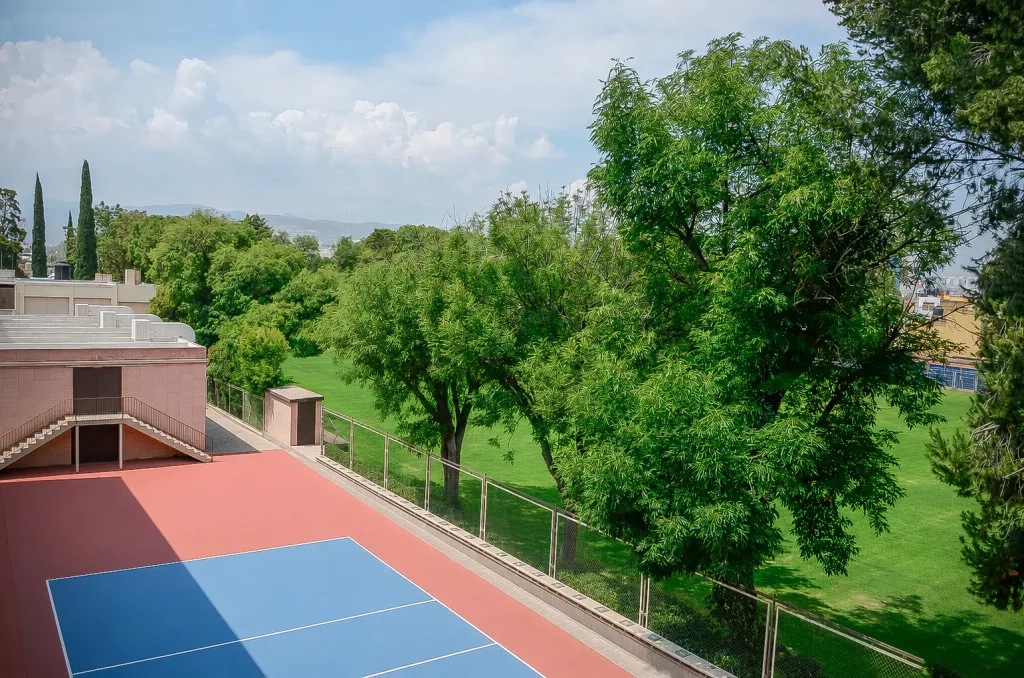 Cancha de voleibol bordeada de árboles