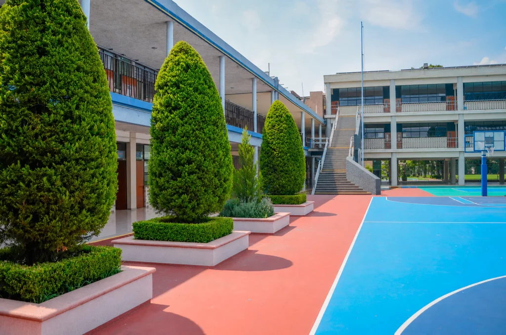 Patio con setos y canchas junto a las oficinas