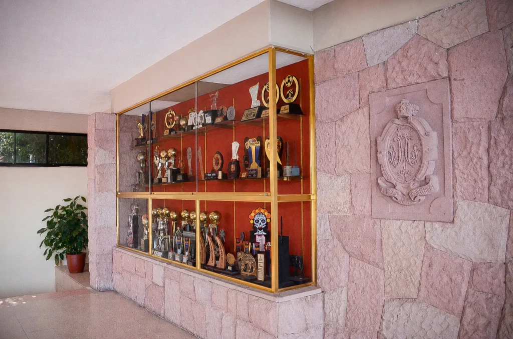 Vitrina de trofeos en muro de cantera rosa